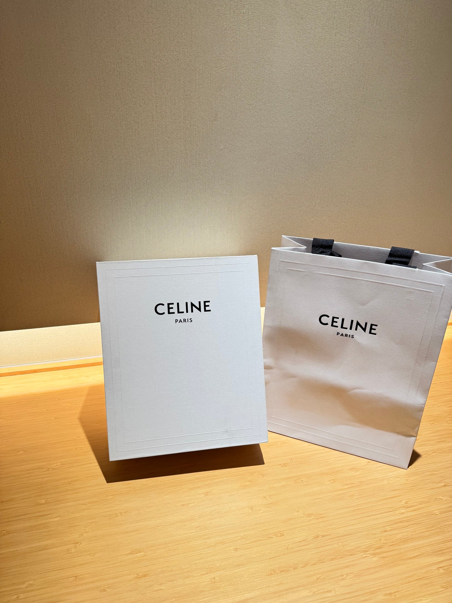 Celine Classique Triomphe in Calfskin