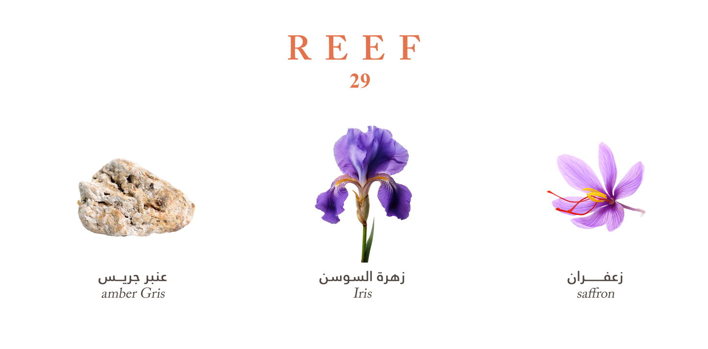 Reef 29 Perfume