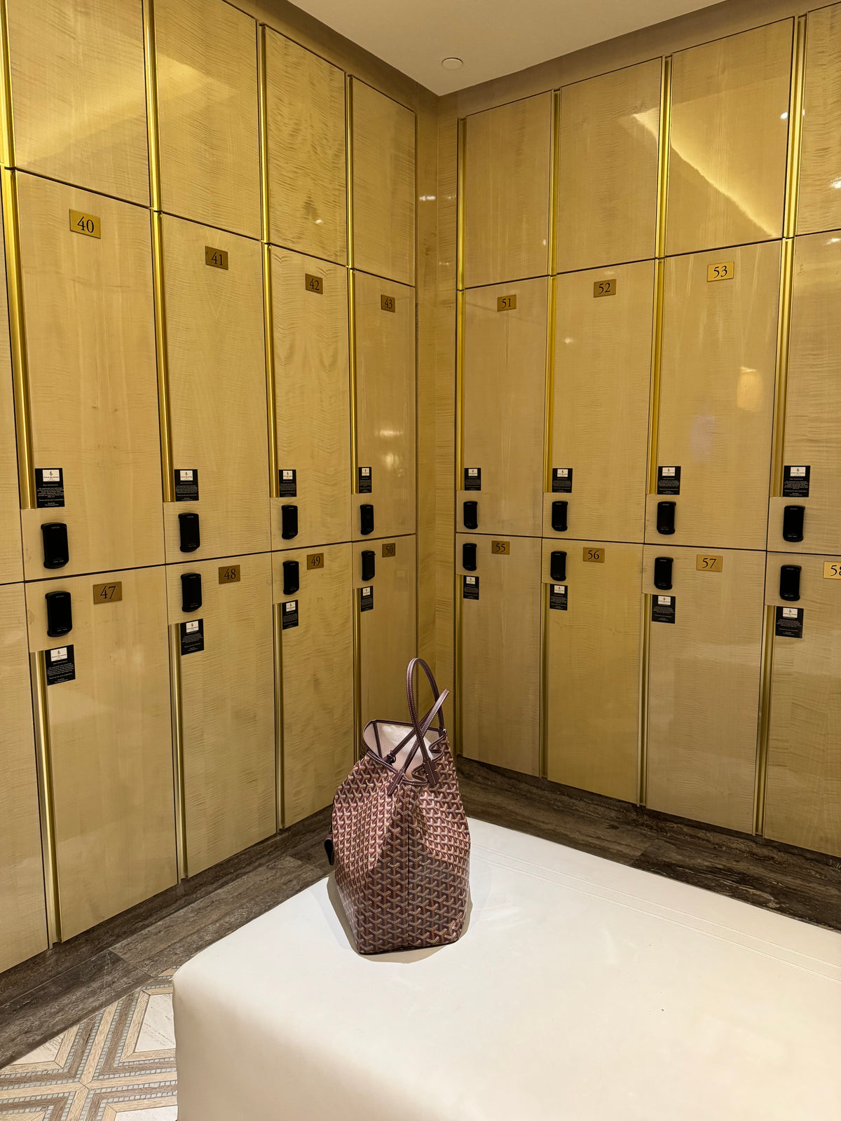 (READYSTOCK) Goyard St Louis GM Canvas - Burgundy