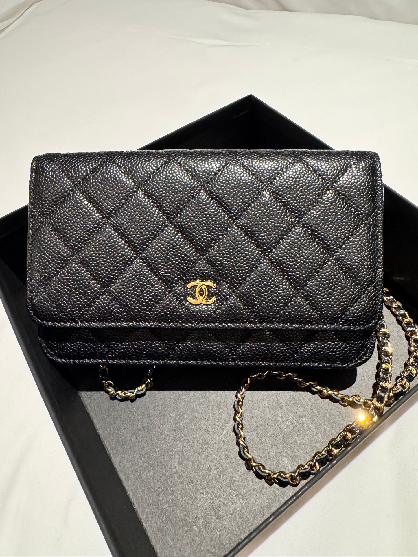 Chanel WOC