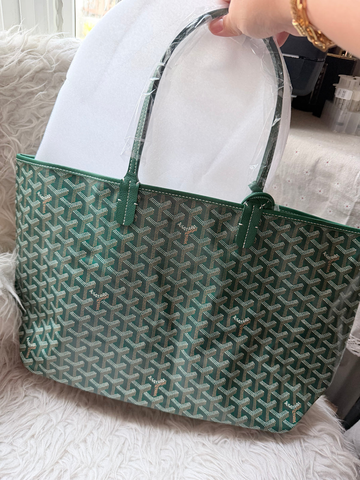 (Readystock)Goyard St Louis PM Canvas - Green