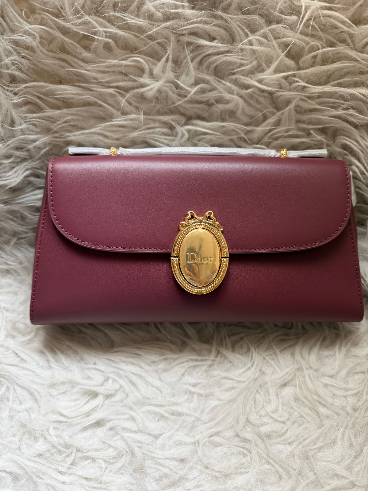Dior Medallion Clutch