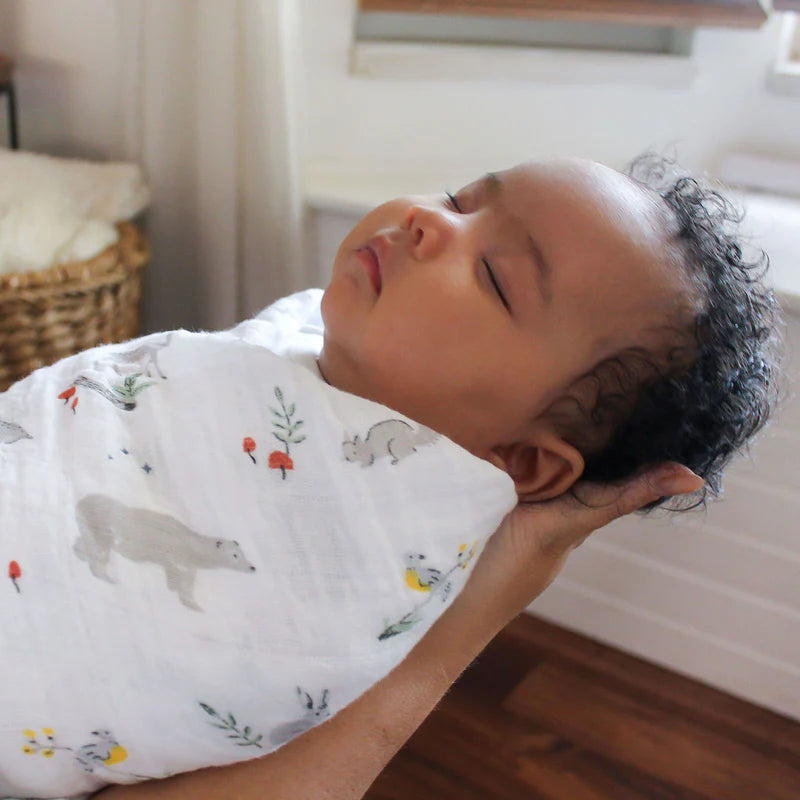 ADEN+ANAIS Classic Swaddles 4 Pack - Naturally