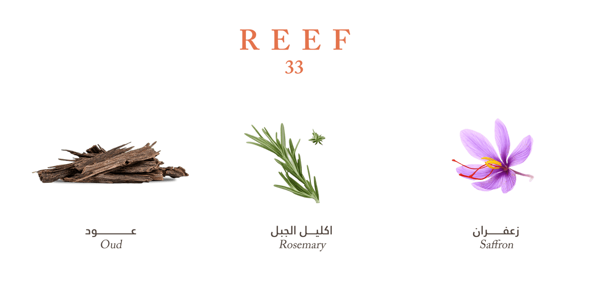 Reef 33 Perfume