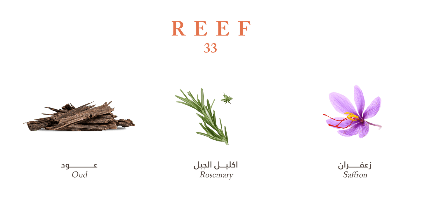 Reef 33 Perfume