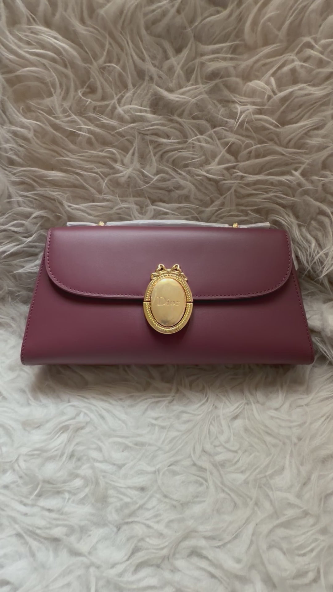 Dior Medallion Clutch