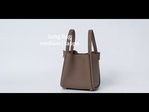 Medium Song Bag (New Version) - Taupe